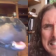 Image for article titled Triumph the Insult Comic Dog praises Weird Al: “So many people kept their virginity to your music”